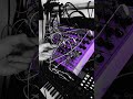 Drone Jam #noisemusic #industrialmusic #liveset #pulsar23 #dronemusic #modular #chromelungs