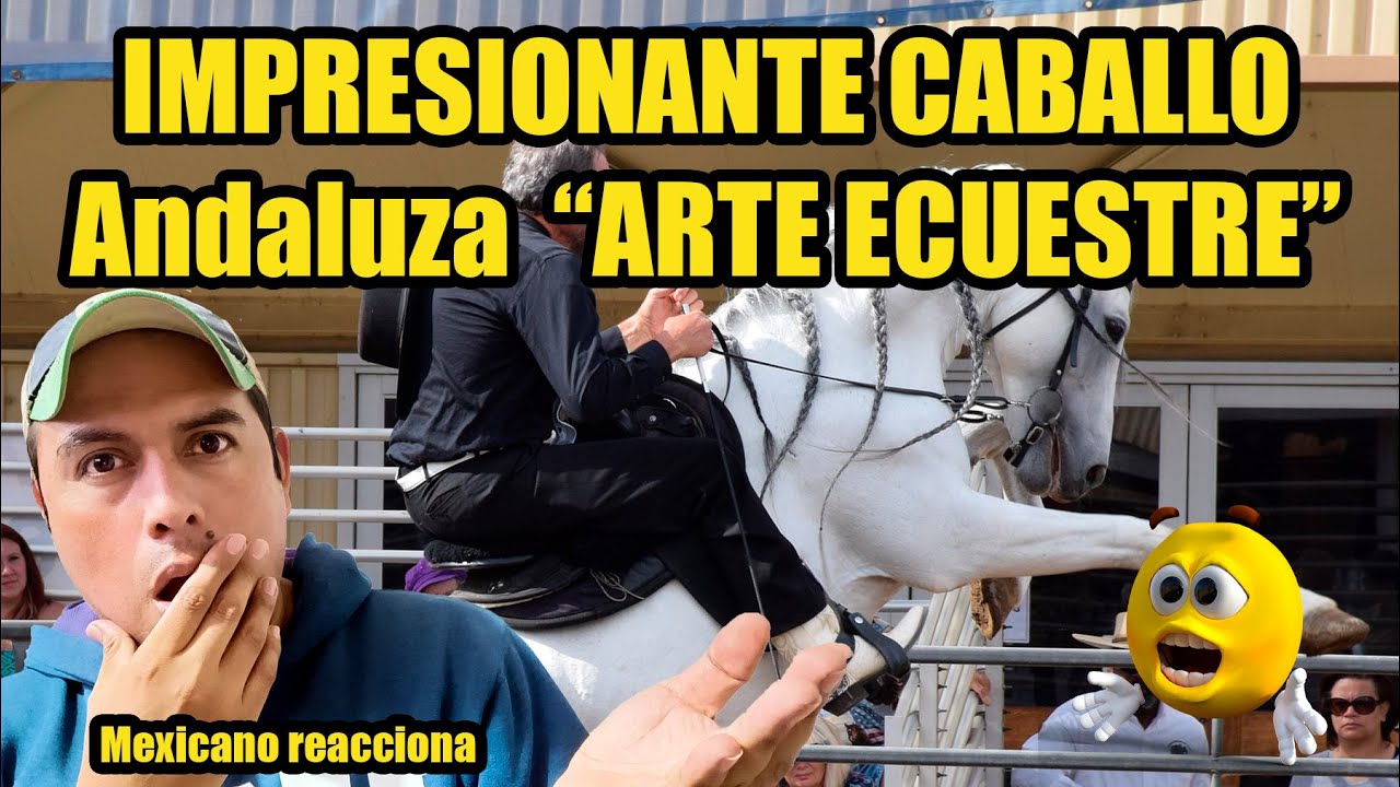 🇲🇽 🇪🇸 reaccion 