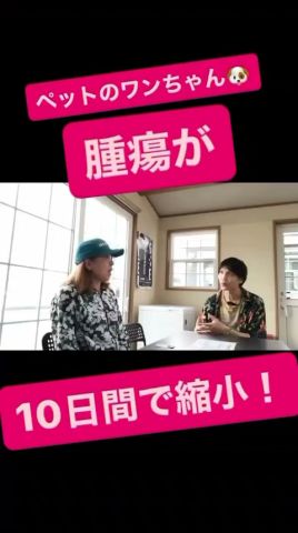 【ペットの腫瘍が縮小！】私はペットにもできるだけ自然なかたちで生きて欲しい