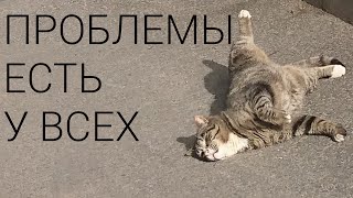 БЕЗ ПРОБЛЕМ НЕ БЫВАЕТ. ОНИ ЕСТЬ У ВСЕХ.