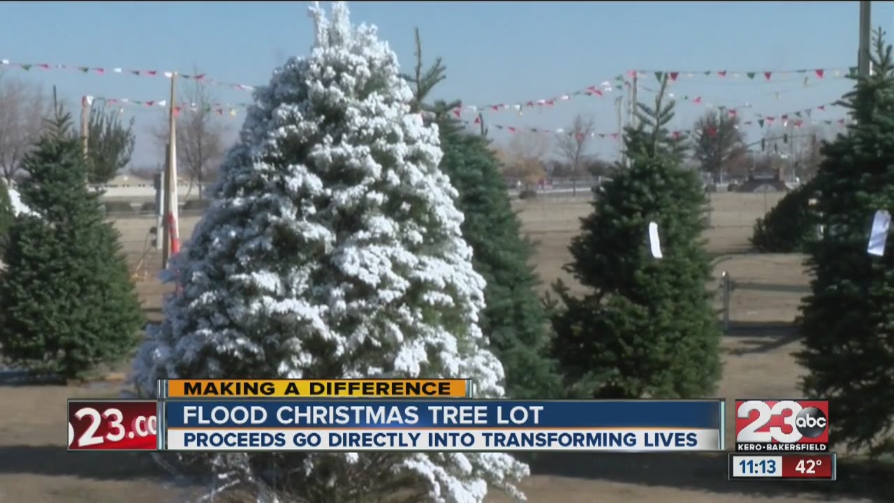 Southwest Bakersfield Christmas tree lot sales help the homeless YouTube
