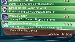 DC UNIVERSE *NEW WonderVerse Patchwork Cheetah location cheetahs never win feat