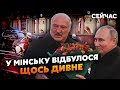 12 хвилин тому! ТАЄМНА РОЗМОВА Путіна та Лукашенка. УСАМІТНИЛИСЯ в АВТО. На зустріч приїхав ДВІЙНИК?