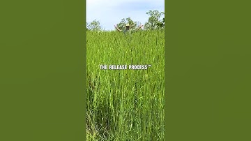 Red Clay into Healthy Soil: 3 Year Results