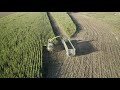 Wendell Farms silage chopping filmed with mavic 2 pro 4k