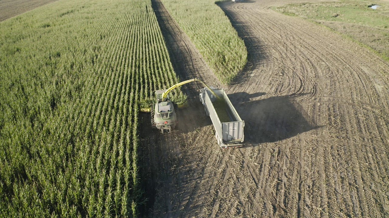 Wendell Farms silage chopping filmed with mavic 2 pro 4k YouTube
