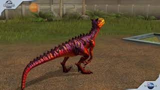 CARNORAPTOR MAX LEVEL 40 (HYBRID) - Jurassic World The Game