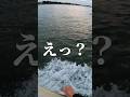 \えっ?まじかよ......./ #サーフィン