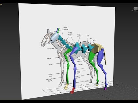 Autodesk 3ds Max biped horse rig