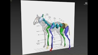Autodesk 3ds Max biped horse rig