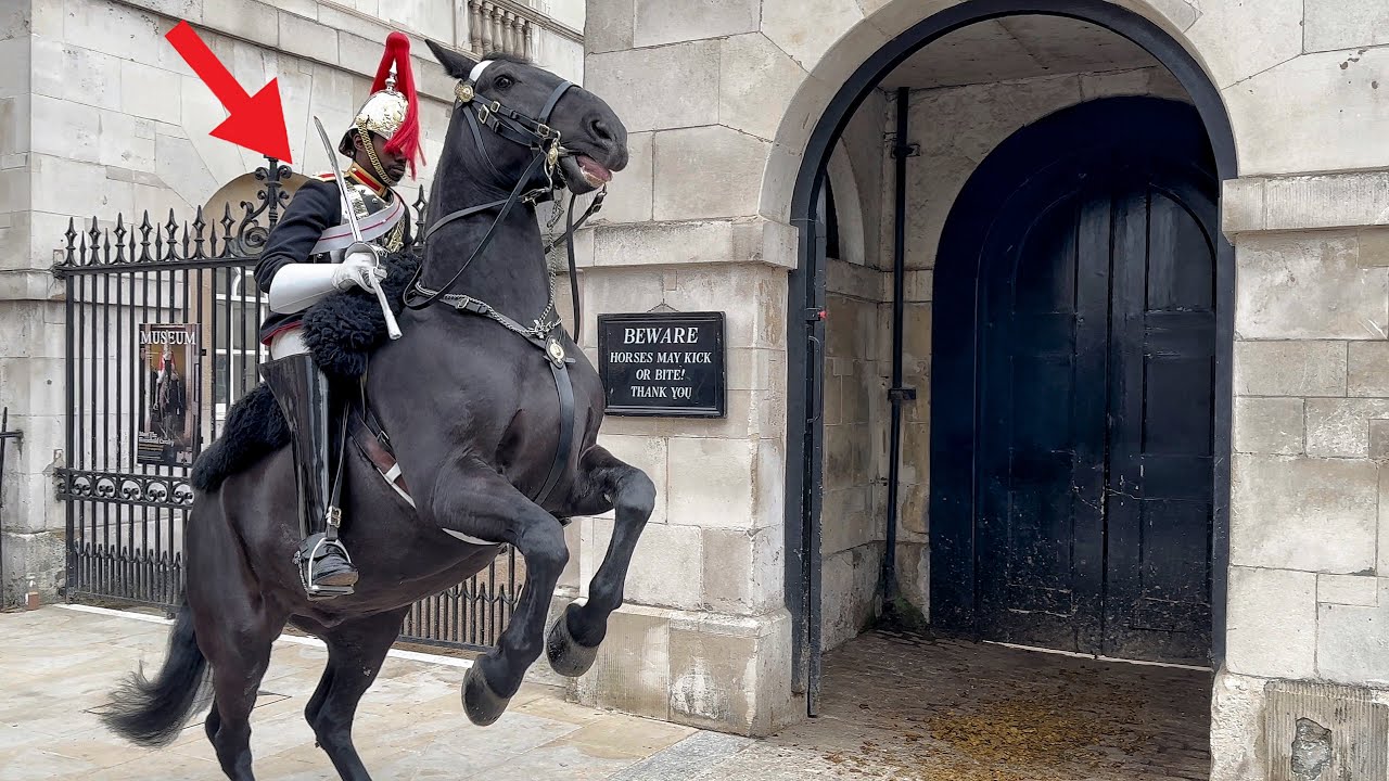 Drunk Tourist Spooks King's Horse