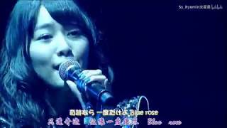 Download lagu Matsui Jurina 마츠이 쥬리나 Blue Rose Matsui Jurina 마츠이 쥬리나 Blue Rose