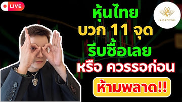 สอนเล่นหุ้น มือใหม่ หุ้นไทยบวก11จุด🔥รีบซื้อเลยหรือควรรอก่อน ห้ามพลาด‼️