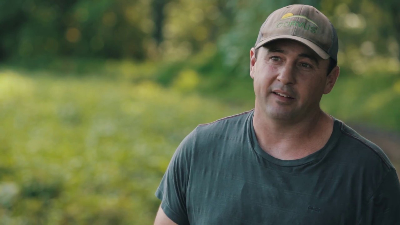 Gower Nurseries, Pumpkin Harvesting, Regalia Biofungicide (30 Sec