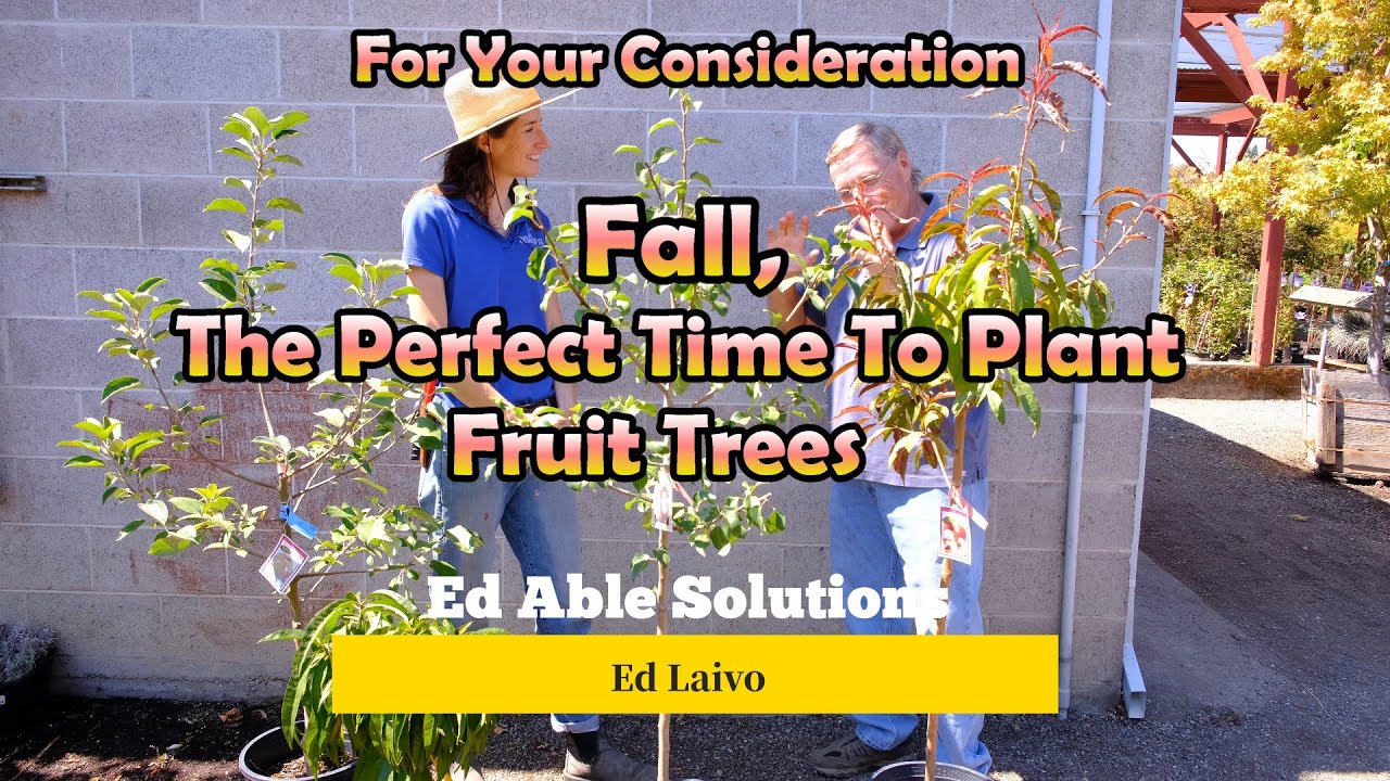 Aileen Of Van Windens Garden Center Shares Some Important Points For  Considering Fall Planting