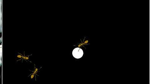 Ant Simulation Using Pygame