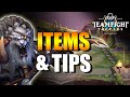 TFT In Depth Guide to Every Unit in Teamfight Tactics TFT - Builds Tips and Tricks