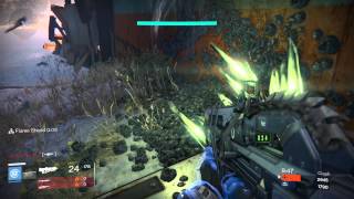Sunsinger OP Year 1