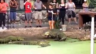 УЖАС КОРМЕЖКА АЛЛИГАТОРОВ ФЛОРИДА Jungle Adventure Florida 19.12.2016 УЖАС КОРМЕЖКА АЛЛИГАТОРОВ ФЛОРИДА Jungle Adventure Florida 19.12.2016