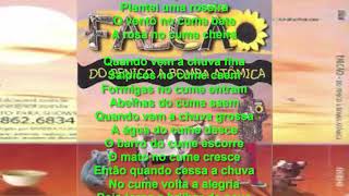 NO CUME - Falcão (Cifras)