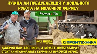 Молочная ферма в Башкирии с доильным роботом от компании Промтехника. КФХ Мизюк. Телята. КРС. Джерси