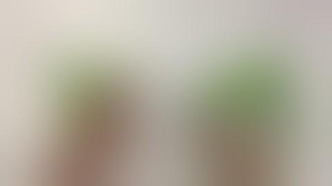 **Not For Children** Tutorial: Construction of my Paper Bag Flipbook and Envelope Flipbook