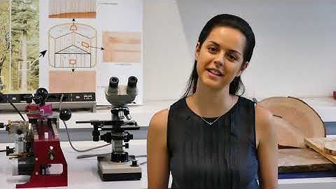 Dendrochronologia Tutoring Recipes: How to take samples for dendroecological analyses