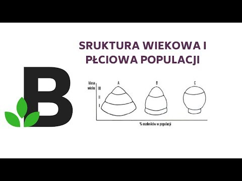 Wideo: Impulsywne Usposobienie I Alkohol: Co Wiemy, Skąd To Wiemy I Dokąd Się Udać