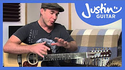 12 String Guitar: Tuning, Tips & Tricks on a Maton Messiah (Guitar Lesson TE-501)