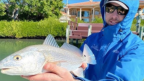 How Water Temperature Affects Inshore Saltwater Fishing (How To Catch Fish In The Summer & Winter)
