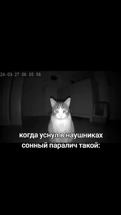 #мем #прикол - YouTube