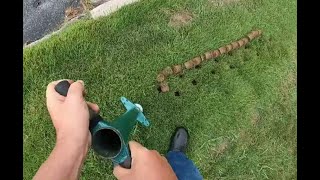 Propagating  Zoysia grass in an established lawn with ProPlugger tool DIY on the cheap save $$$