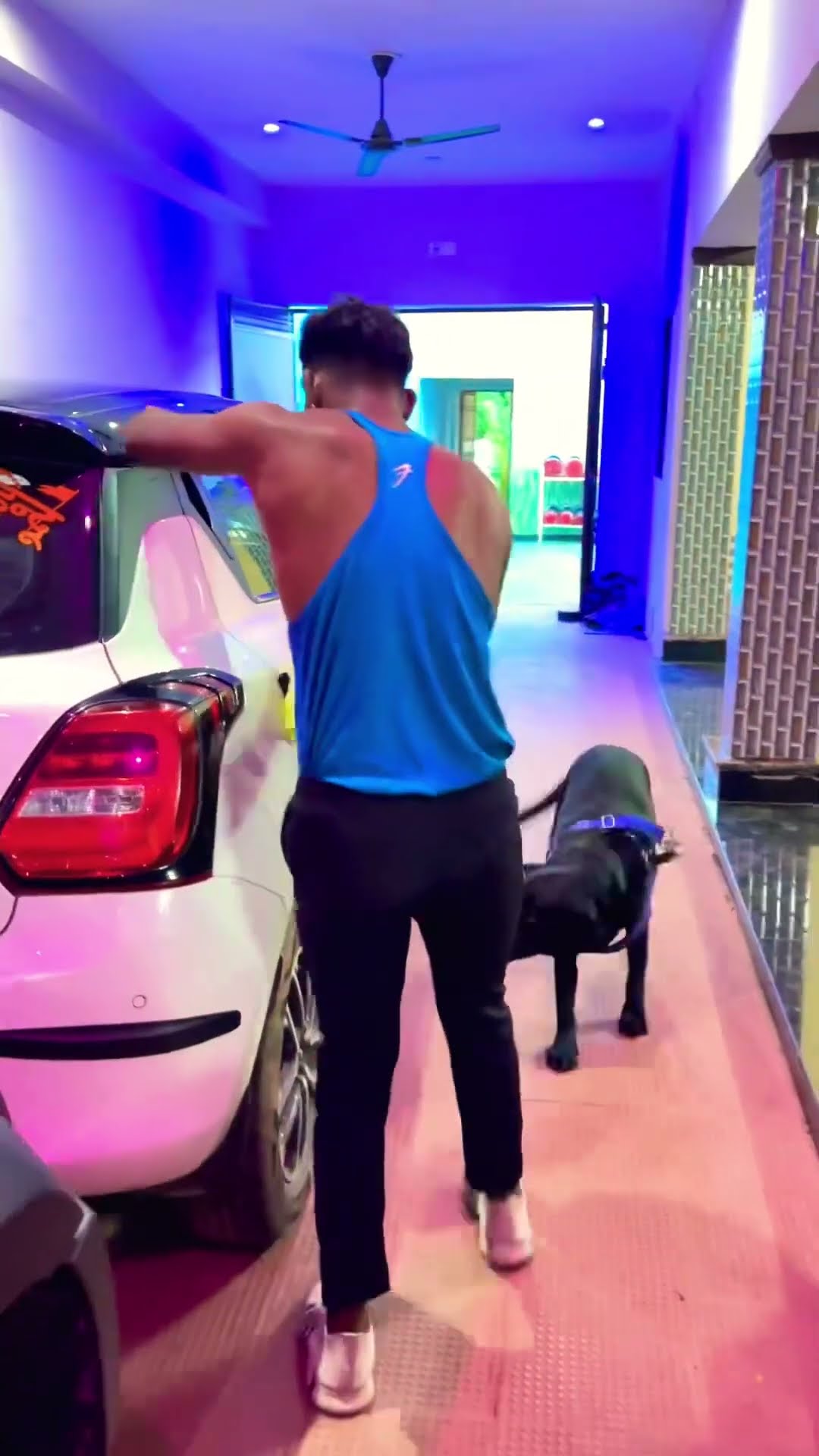 Tiger Hide In Car ??? #shorts #comedy #funny