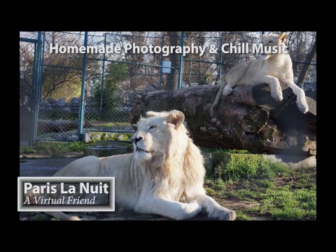 Deep & Tropical House Chill Music Live 24/7 Nature Photographs