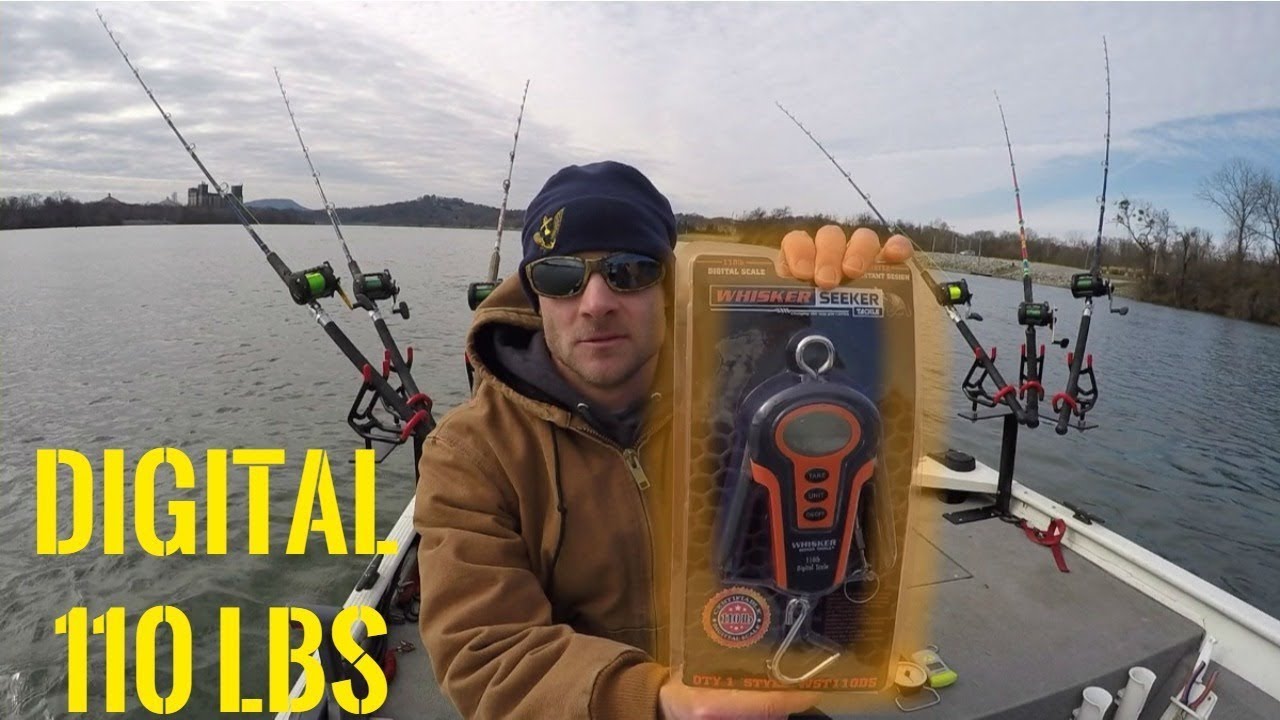 Whisker Seeker Catfish Scale (Unboxing and Review) 