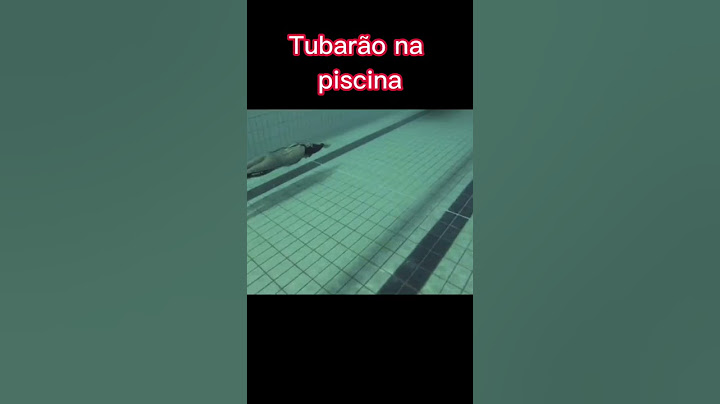 Tubarão na Piscina