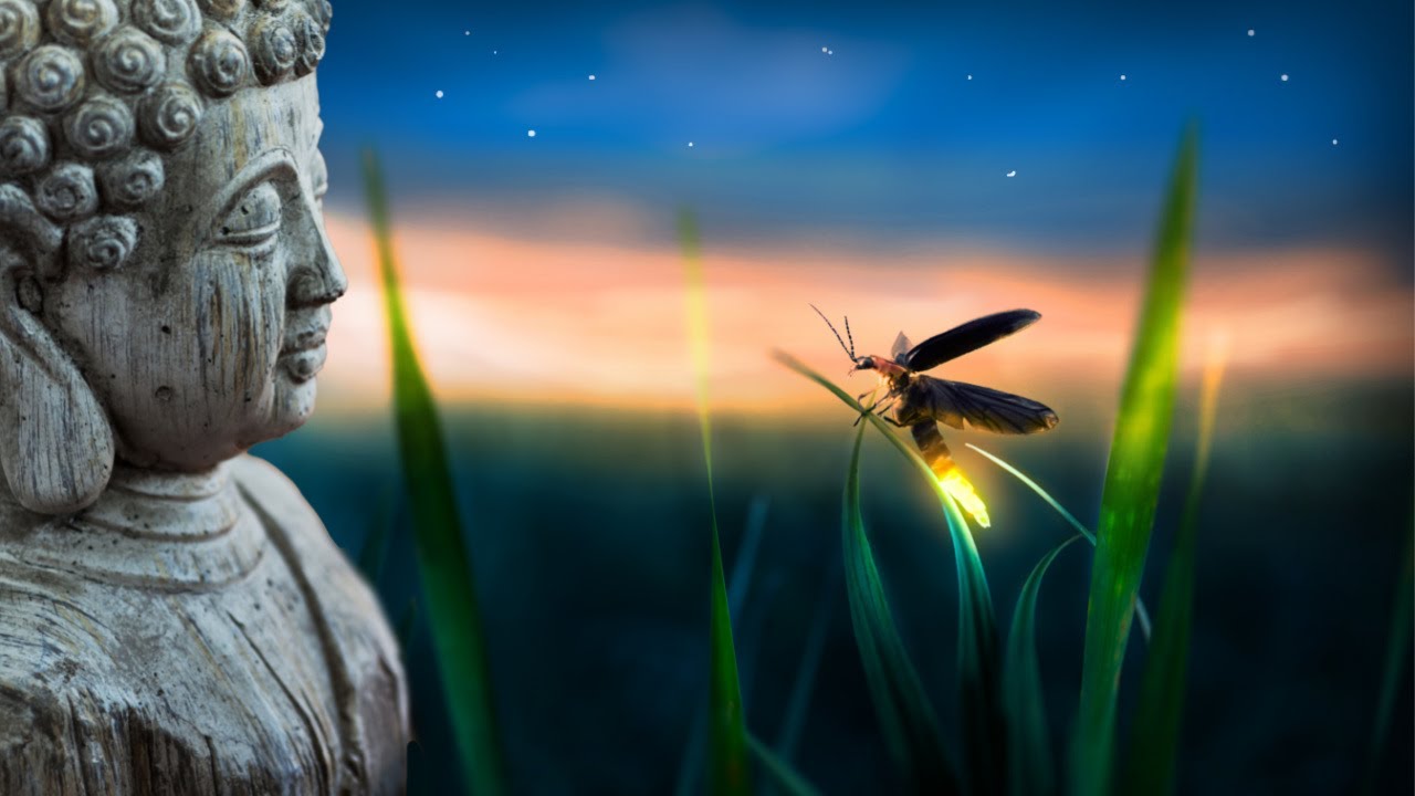 528 Hz   Positive Energy   Miracle Healing Frequency   Soul Soothing Meditation Music