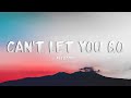 Ali Gatie - Can&#39;t Let You Go (Lyrics)