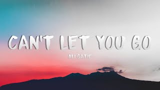Ali Gatie - Can&#39;t Let You Go (Lyrics)