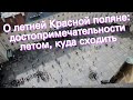 О летней Красной поляне: достопримечательности летом, куда сходить