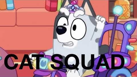 muffin being chaotic for 58 seconds straight