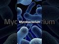 How to pronounce mycobacterium? #mycobacterium #speakconfidentenglish #learnenglish