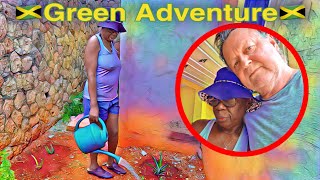 Jamaica Yard Vlog | Tom & Madges Green Adventure Despite Being Under the Weather