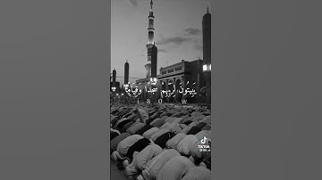 سبحان الله وبحمده سبحان الله العظيم #ادريس_ابكر #تلاوة_هادئة #القرآن_الكريم #ا #funny #اكسبلور #لاي