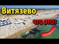 #Анапа Пляж Витязево: Что это? Ответ в этом видео!