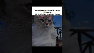 When talent beats technology… with a paw-some twist | DJ Pirate