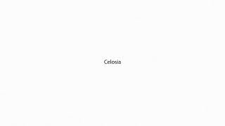 Celosia PRONUNCIATION