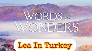 Playing WORDS OF WONDERS-level 748 to 768