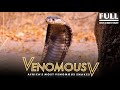 Africa’s Most Venomous Snakes: The Venomous 5 | 2021 Full Documentary