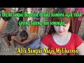 DANGDUT SASAK //DUET MANIS ALYA CECE DAN NANA Bikin Baper //LAUQ MUJUR//MEGANTARA
